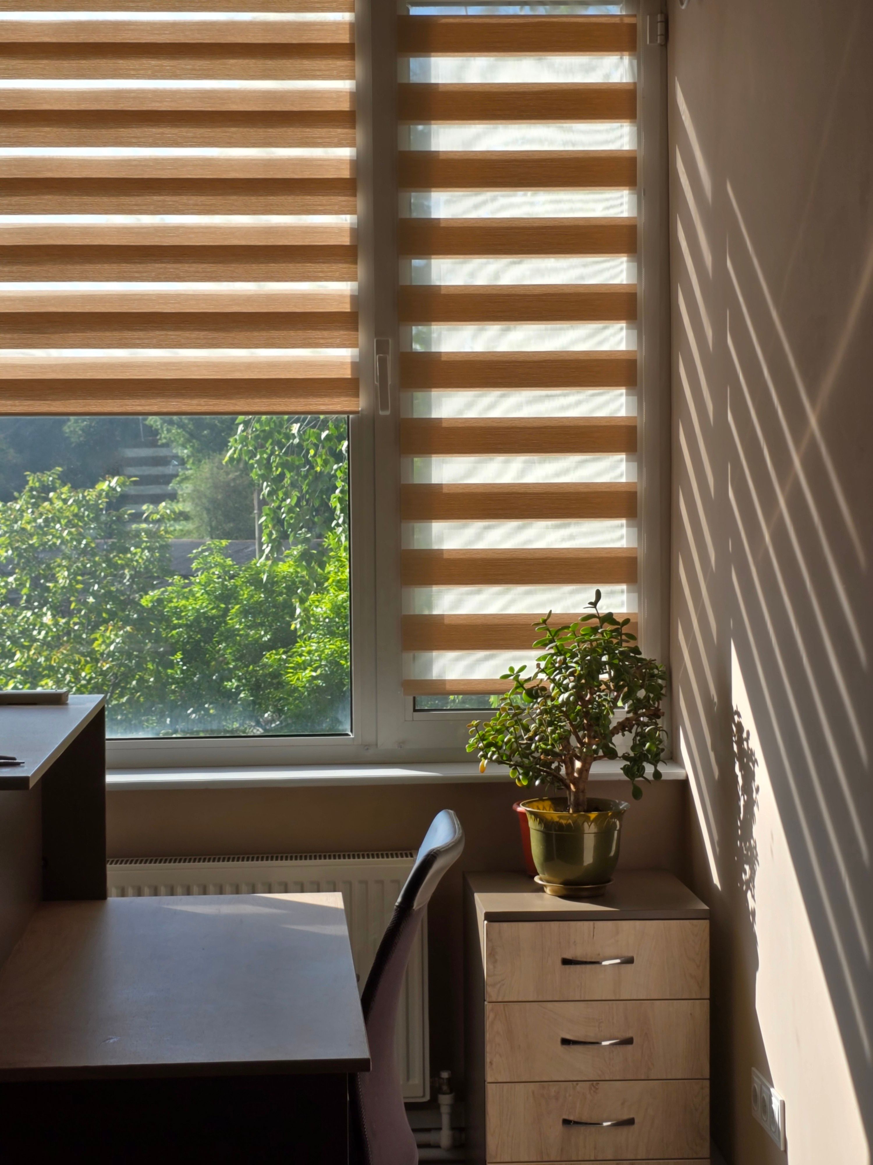Modern office with professional window coverings