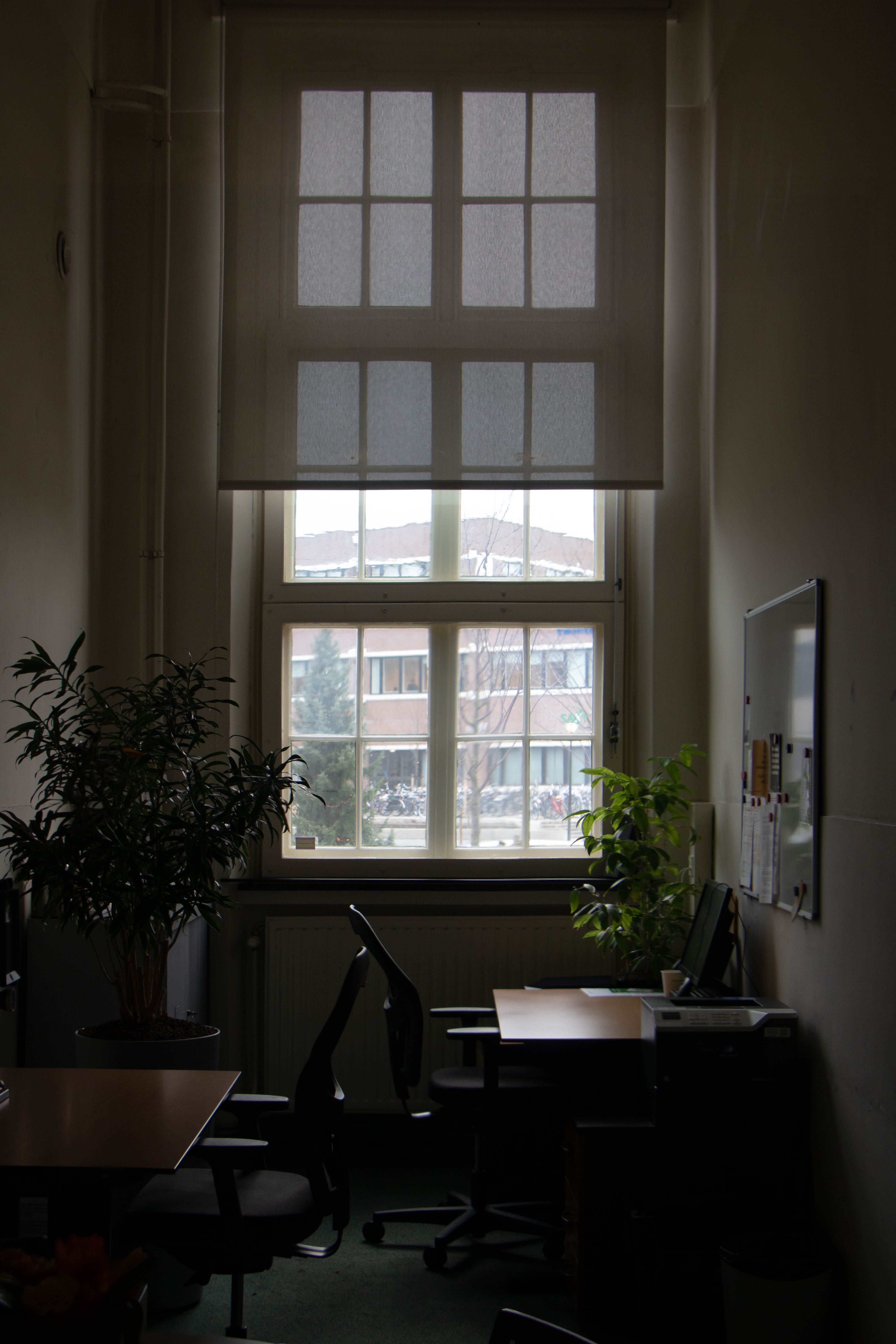 Property management window solutions